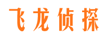 阆中侦探公司